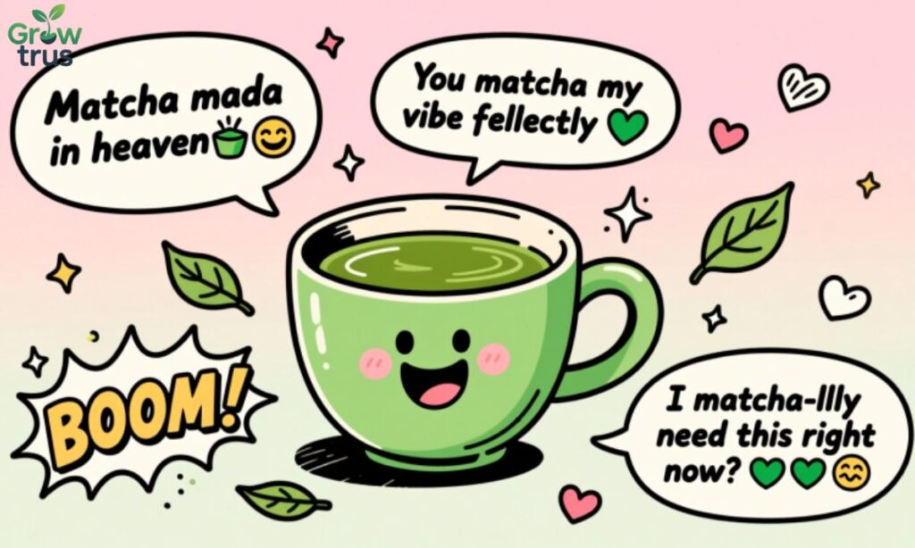 Funny Matcha Captions 1