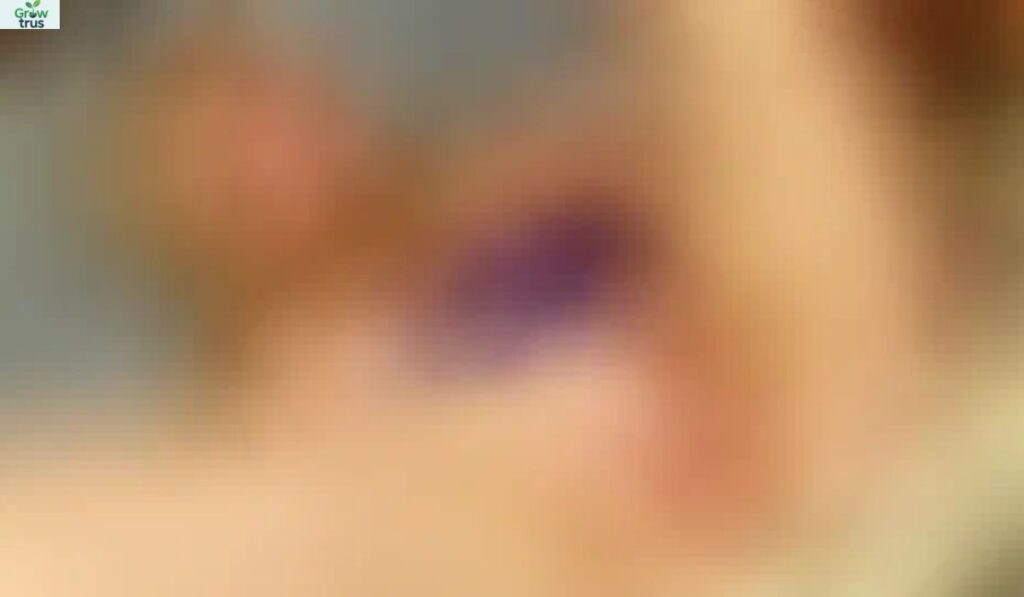 Pornstar Martini with Champagne Captions to Sparkle