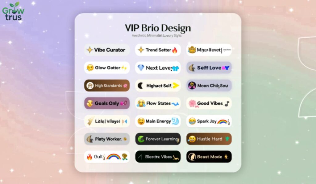 new-trendy-instagram-vip-bio